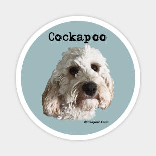 Champagne Blonde Cockapoo / Spoodle and Doodle Dog Magnet